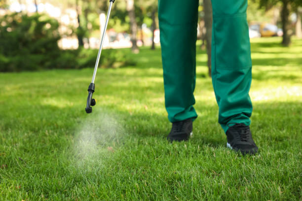 Professional Pest Control in Summerlin South, NV